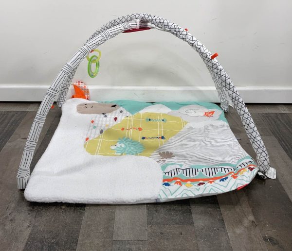 Fisher Price Perfect Sense Deluxe Gym Discount - Image 3