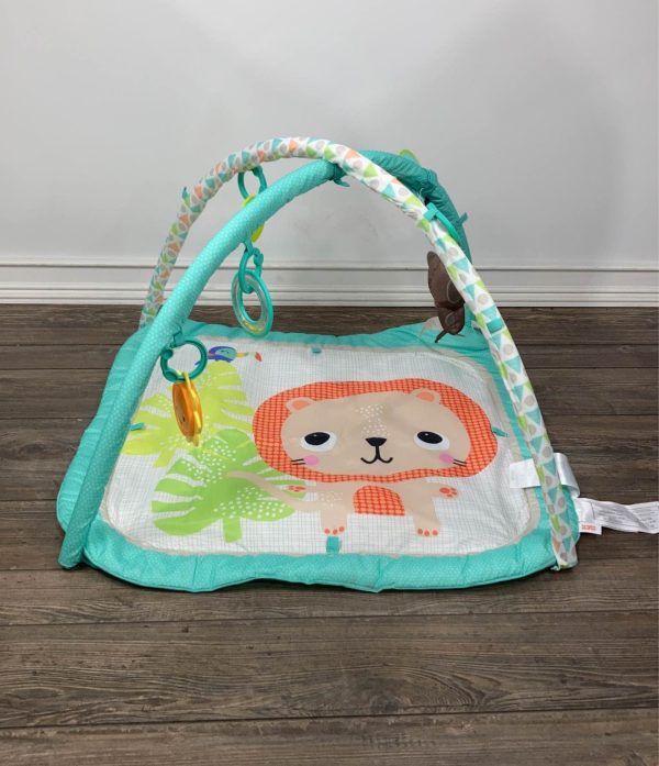 Bright Starts Activity Gym, Safari Blast Online Sale